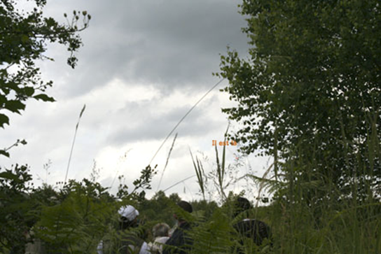 2008061409