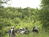 2008061405.png